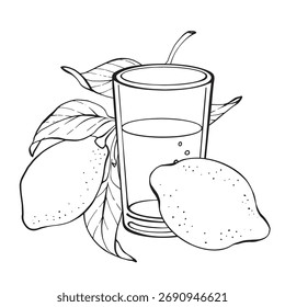 Ilustración de línea de Vector con limones, hojas y un vaso de jugo. Dibujo de contorno dibujado a mano sobre un fondo blanco. para empaques, menús, logotipos, tarjetas de visita, Anuncios y diseños decorativos.