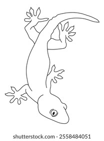 Vector line illustration of a lizard in black and white