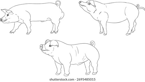 Vector line illustration of pigs, perfect for farming, gardening, or rustic design projects.