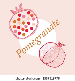 Vector line illustration of pomegranate 
