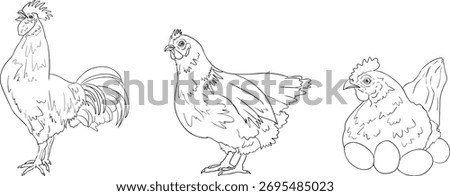 Vector line illustration of a rooster, hen, and brooding hen with eggs, perfect for farming, gardening, or rustic design projects.