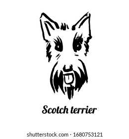 Vector line illustration of scotch terrier head isolated on white background for pet styling and grooming salon, avatar, logotype, store signboard, web site and book design.