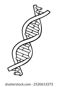 Vector line illustration of spiral DNA double helix isolated on white background. Doodle style
