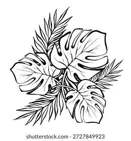 Vektorgrafik der Zusammensetzung tropischer Monster und Palmblätter, einzeln auf weißem Hintergrund, saubere botanische Grafik, ideal für Logos, Drucke, Verpackungen, Poster und moderne Designprojekte.
