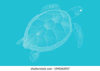 vector line illustration of a turtle swimming.