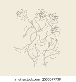 Ilustración de la línea de Vector de las flores blancas de la trompeta del ángel. Corona floral. Tarjeta floral botánica