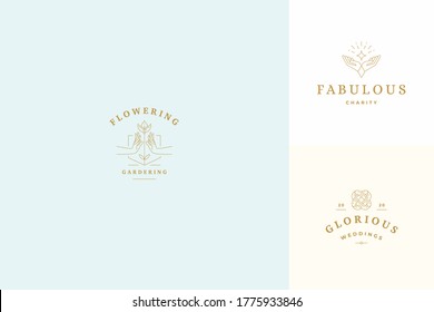 Vector line logos emblems design templates set - female gesture hands illustrations simple minimal linear style. Outline graphics for cosmetology branding and beauty salon.