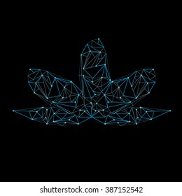 vector line  low poly lotus