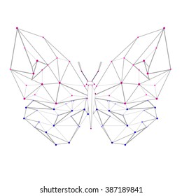 vector line low poly pink and blue  butterfly