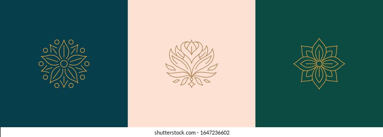 Vector line minimal decoration design elements set - rose flower and botanical leaves illustrations simple minimal linear style. Bundle mystical outline graphics for logo emblems and product packaging