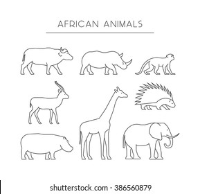 Vector line set of african animals. Linear silhouettes african animals isolated on a white background. Outline icons african animals.