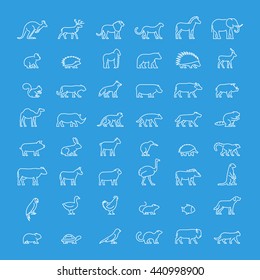 Vector line set of animal icons. Linear ferret, ostrich, meerkat, warthog, chicken, mouse, hedgehog and others. Open path.