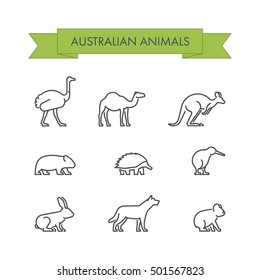 Vector line set of australian animals. Linear icon dingo, koala, kangaroo, echidna and kiwi.