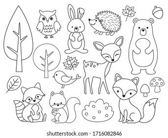 Vector line set Woodland Animals  Animal outline for coloring including bear  deer  fox  rabbit  raccoon  squirrel  hedgehog  owl  bird 
