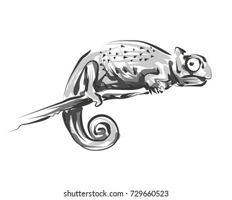 Vector line sketch chameleon