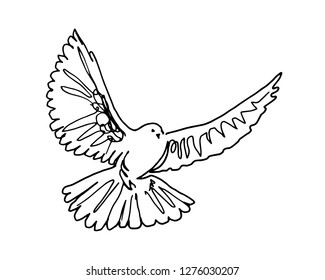 Vector line sketch of a dove