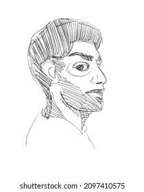 Vector line sketch of a half-turn face of a Middle Eastern adult man with a beard on his face. Pen drawn portrait on white paper. Linear freehand pencil drawing.