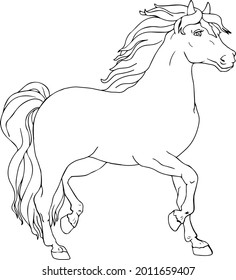 Vector Line Sketch Horse Coloring Pages Stock Vector (Royalty Free ...