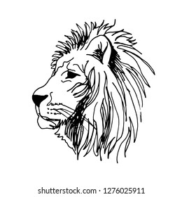 Vector line sketch of the lion head