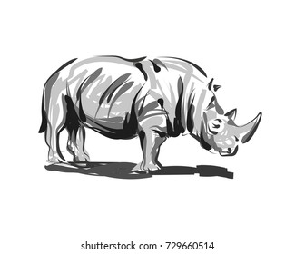 Vector line sketch rhino