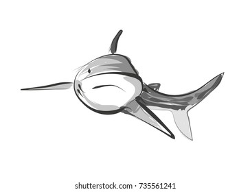Vector line sketch shark