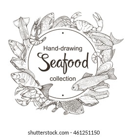 Vector line sketches of fish and seafood. Handmade set isolated on a white background of marine life: bream, carp, trout, salmon, crab, perch, lobster, shrimp, squid, oysters in vintage style