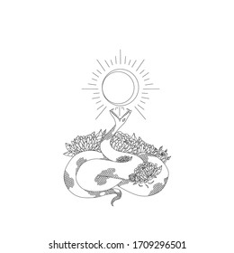 Vector line of snake amidst the flowers trying to devour the sun and burn it scale out tattoo which is beautiful and fierce in the same time