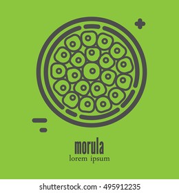 Vector line style logo or label template. Isolated on background and easy to use concept. Perfect design logotype for your business. 