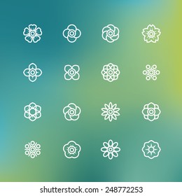 vector line symbol of flower, flower icon with blur background