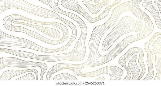 Vector line vector wavy pattern, topography graphic contour gold background. Ribbons, stripes terrain texture. Curve shapes, organic illustration, wood