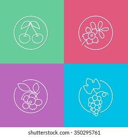 vector linear berries icon and badges design - drink concepts - trendy style