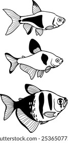 
Vector linear black drawing of three aquarium fish.