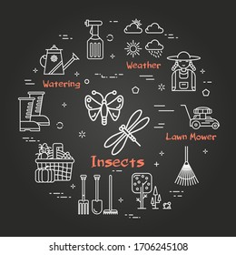 Vector linear black gardening and farming - Insects