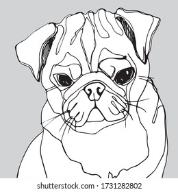 Vector linear black and white freehand drawing of a cute pug on a light gray background. drawing is isolated from the background. colors of the picture and background can be edited if desired