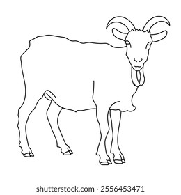 Vector linear black and white illustration of a goat