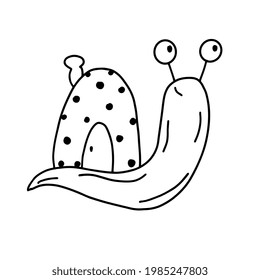 Vector linear black and white image of a snail with a house. The illustration is hand-drawn in doodle style.