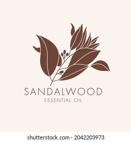 Vector linear botanical icon and symbol - sandalwood. Design logo for essential oil sandalwood. Natural cosmetic product.