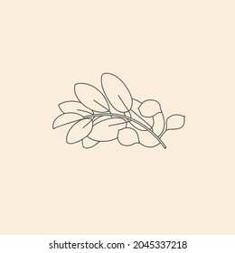 Icono y símbolo botánico lineal vectorial - copaiba