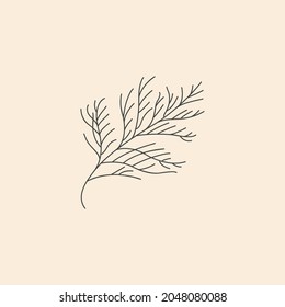 Vector linear botanical icon and symbol - cypress
