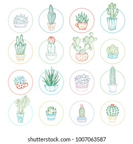 Vector linear cacti and succulent icon set. Hand-drawn cactuses and succulents in flower pots and cups with prickles, flowers and without. Round shapes. Isolated on white.