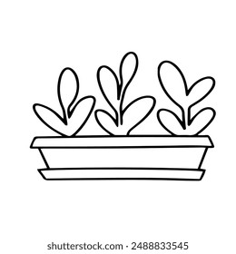 Vector linear doodle of seedlings in a pot. Isolated plant illustration on white background