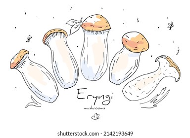 Vector linear doodle set of Asian mushrooms Eringa, oyster mushrooms steppe. Concept natural, organic ingredient, spices of Asian, European cuisine. You can use elements in web design, banners, etc.