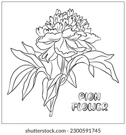 Vector linear drawing of the Large, realistic Peony flower with leaves. Coloring book. You can add any color. Text. Can be used for postcards, magazines, wedding invitations, for children