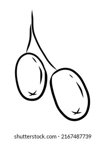 VECTOR LINEAR DRAWING OF SEA BUCKTHORN ON A WHITE BACKGROUND