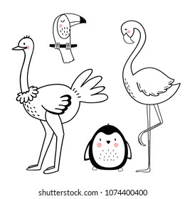 Vector linear drawing, set of cute children's illustrations of African animals, penguin, flamingo and ostrich, toucan. Set of isolated objects