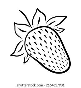 VECTOR LINEAR DRAWING OF STRAWBERRIES ON A WHITE BACKGROUND