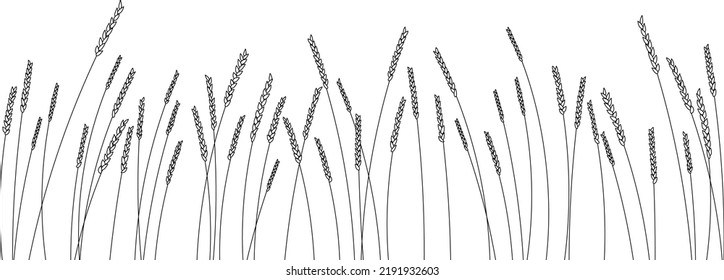 Vector linear field with ears. Wheat field. Wheat of different heights