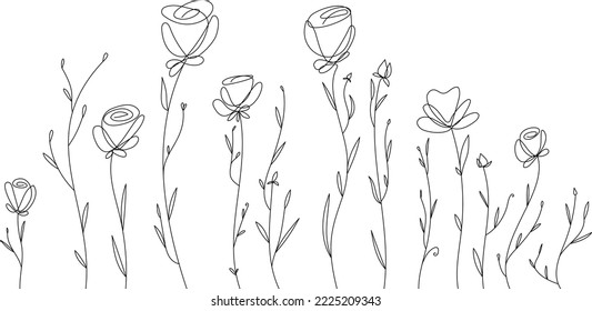 Vector linear field. Flower meadow with open fluffy buds and growing leaves.