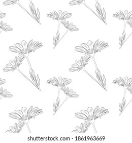 Impresión floral lineal vectorial. Patrón monocromo sin fisuras. Se puede usar para postales, postales y diseños de embalaje.
