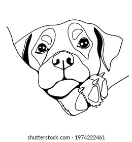 vector linear freehand drawing of calm beautiful peacefully lying rottweiler dog isolated on white background. can be used in advertising of goods for animals, pet stores, food, dog beds, for printing